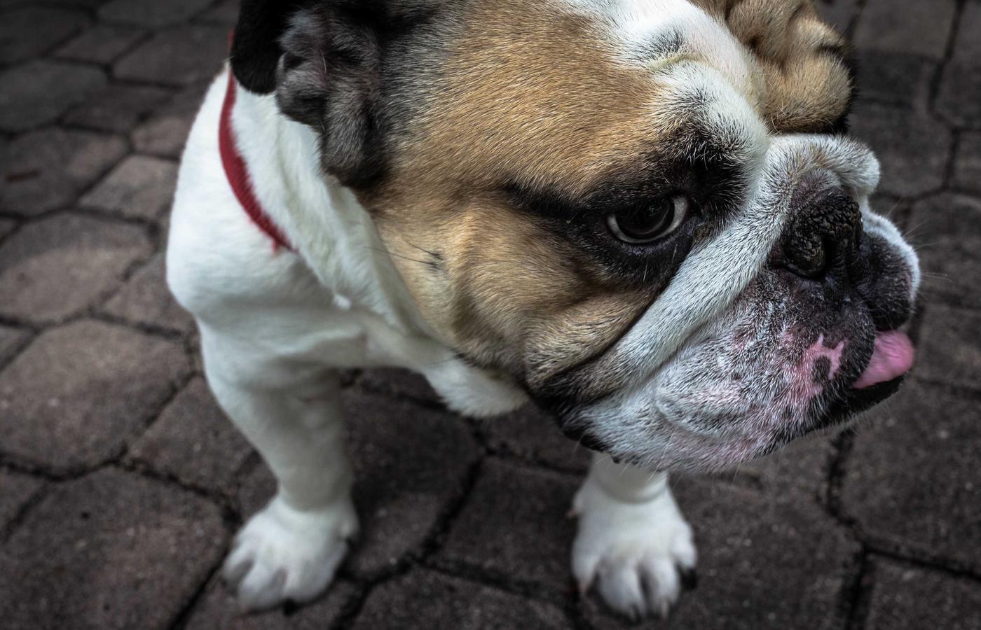 Киберқауіпсіздік шешімдері