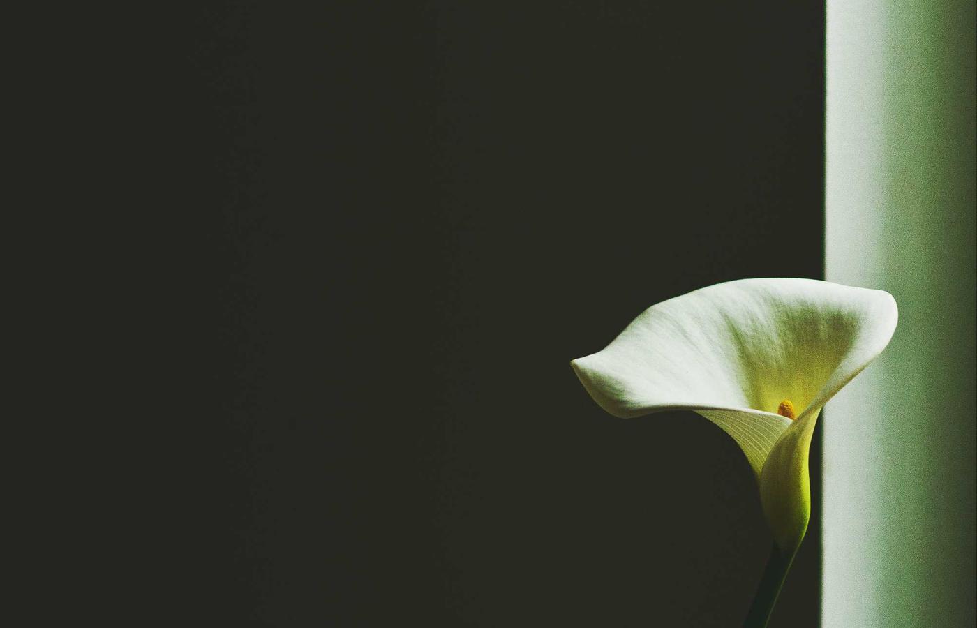 Мақала суреті